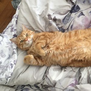 Meet your Posher, Joanna